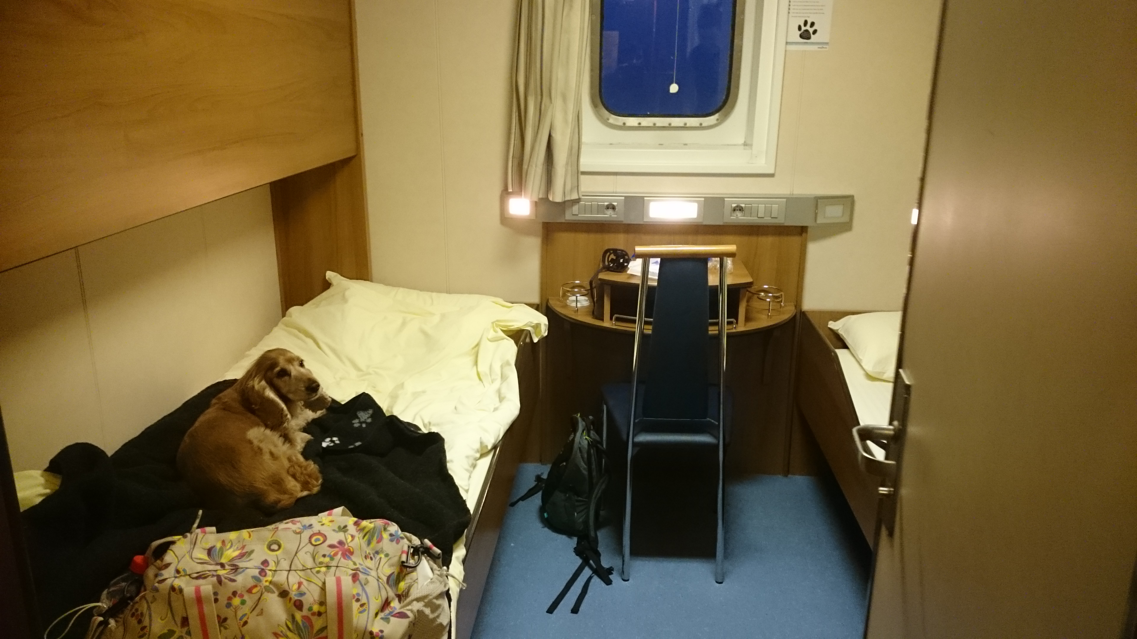 Dog friendlt cabins on Brittany Ferry to France