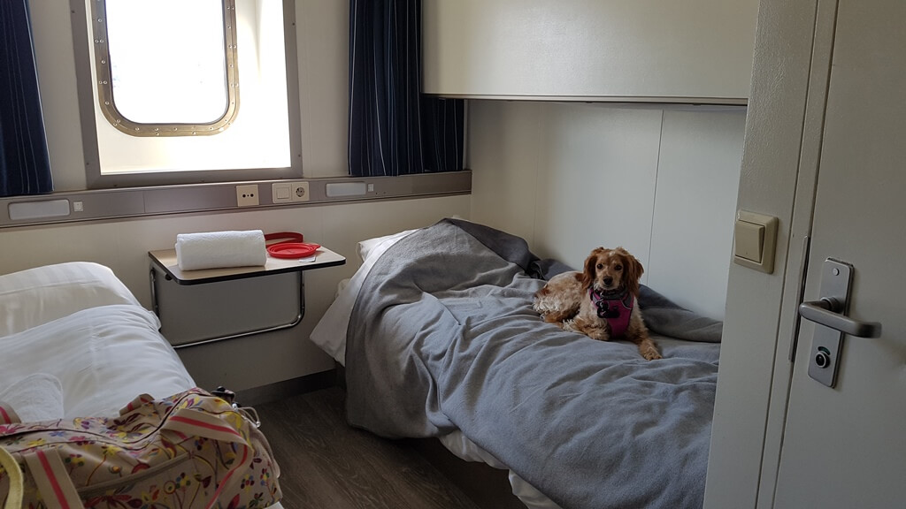 ferry-or-eurotunnel-with-dogs-traveling-to-europe