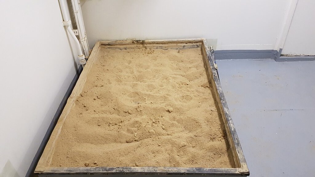The Sandbox Toilet for dogs on DFDS Ferry